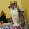 Отзыв от Дарья Столярова